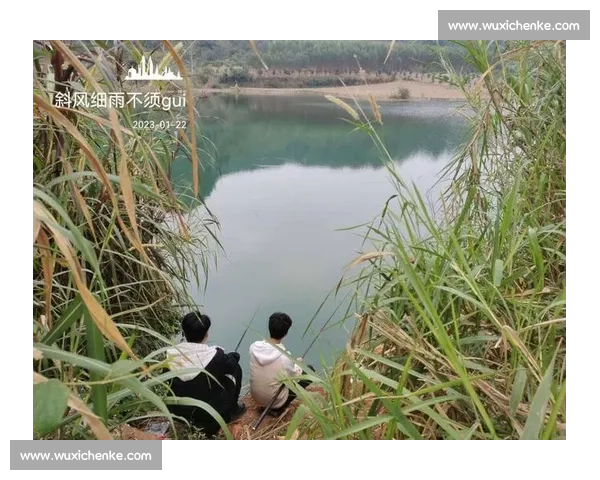 红树林钓鱼的 3 个暗码:99% 的人踩错潮汐与钓点 红树林钓鱼的 3 个暗码:99% 的人踩错潮汐与钓点